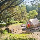 돈내코산책로화장실 이미지