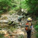 오지 1리 이미지