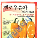 부농종묘