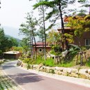 옥성자연휴양림 이미지