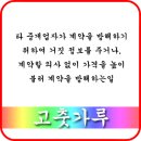 신세대부동산중개사무소 이미지