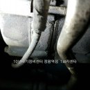 1st 카센타 이미지