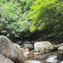 토옥동 송어 횟집 이미지