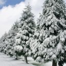 강남에듀학원 이미지