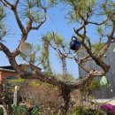 갤러리하루농장 이미지