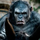 혹성탈출 리부트 &amp; 신작 시리즈 요약 정보 줄거리 결말 스포 후기 총정리!