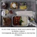 이스라엘에서 한국군 수송기 타고 온 일본인 NHK인터뷰 + 수송기 기내식 이미지