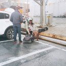 신스타 이미지