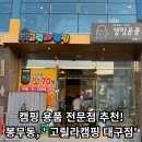 [고릴라캠핑 대구점] - 대구 동구 캠핑용품,장비 전문점