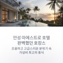 화목당구장 | 안성 마에스트로 호텔 수영장부터 객실까지 완벽했던 내돈내산 호캉스