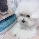 반자주 명지국제신도시점 이미지