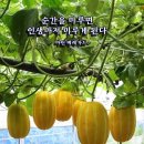 🍒 9월 15일 목요일 간추린 아침뉴스입니다 이미지