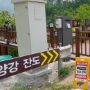 물래방아목장 | 봄여행주간 당일치기, 단양 잔도(棧道)에서 멍때리기