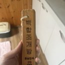 몽산포민박 | (해루질여행)몽산포 잠실민박/태안수산물직매장/몽산포치킨/몽산포맛조개동죽잡기 체험