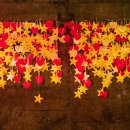 문경 오미자테마터널 이미지