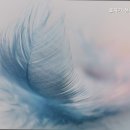 효자실버요양원 이미지