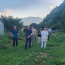 이완기농장 이미지