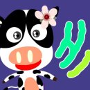 경화 양봉 이미지