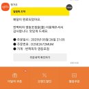[영등포] 번쩍피자 - 미뢰가 번쩍 트였던 영등포 배달 맛집 번쩍피자 솔직후기 내돈내산
