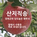 부림3길 이미지