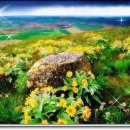연보라(주) 네이버블로그