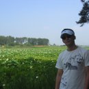 백련주유소 이미지