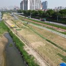 서울묵현초등학교 이미지