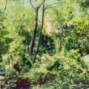 토스트앤후르츠 이미지