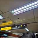 강남병원 | 🏥강남베드로병원 신경과 후기｜양재역 수면무호흡증 진료 &amp; 양압기 국가지원 정리