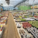 개인(서광명) 이미지