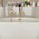 개아나유 이미지