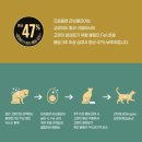 미르동물병원 이미지