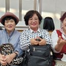 박정란농장 Daum카페