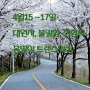 4월15-17일 대원사-불일암-선암사 봄맞이 트랜스워킹 이미지