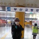 호포승마스쿨 | 20220325금정산하늘능선릿지-통일동산바위산행