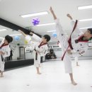 늘푸른태권도 이미지