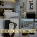 하운드짐 | 강릉 하운드 호텔 경포 여행 가성비 숙소 솔직 후기
