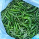 시흥1동 주민센터 이미지