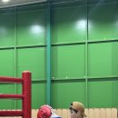 ATP Boxing 이미지