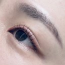 서울정덕초등학교 | 서울 속눈썹 장인정신 그리다