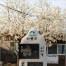 (주)들판 Daum카페