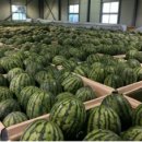 금호농산 이미지