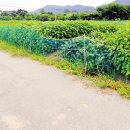 우정읍사무소 2 이미지