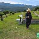 주식회사 진약품 이미지