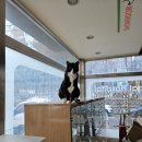 리옹동물병원 이미지