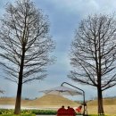 명신관광 이미지