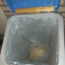 일동전통시장 이미지