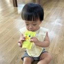 동뜬식당 | 성산일출봉 근처 맛집 아기랑 가기 좋은 동뜬식당 후기