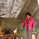 회천농장 이미지