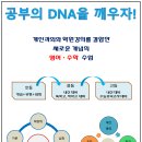 와이앤영